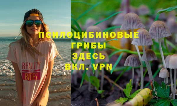 ПСИЛОЦИБИНОВЫЕ ГРИБЫ Бугульма