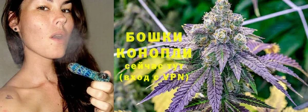 ПСИЛОЦИБИНОВЫЕ ГРИБЫ Бугульма